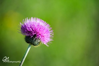 gallery/thumbworks10